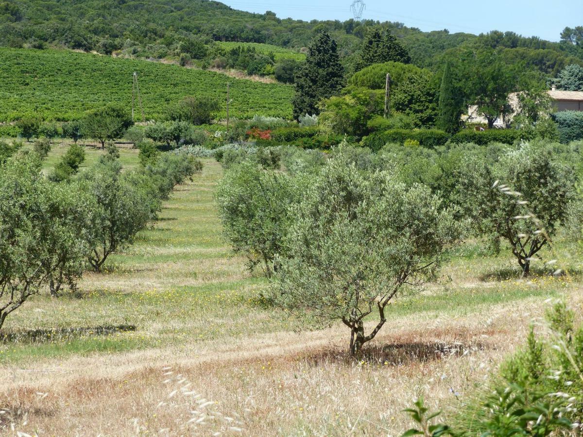 Gite Du Soleil Rochegude (Drome) Exterior photo